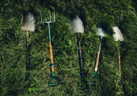 several shovels on grass