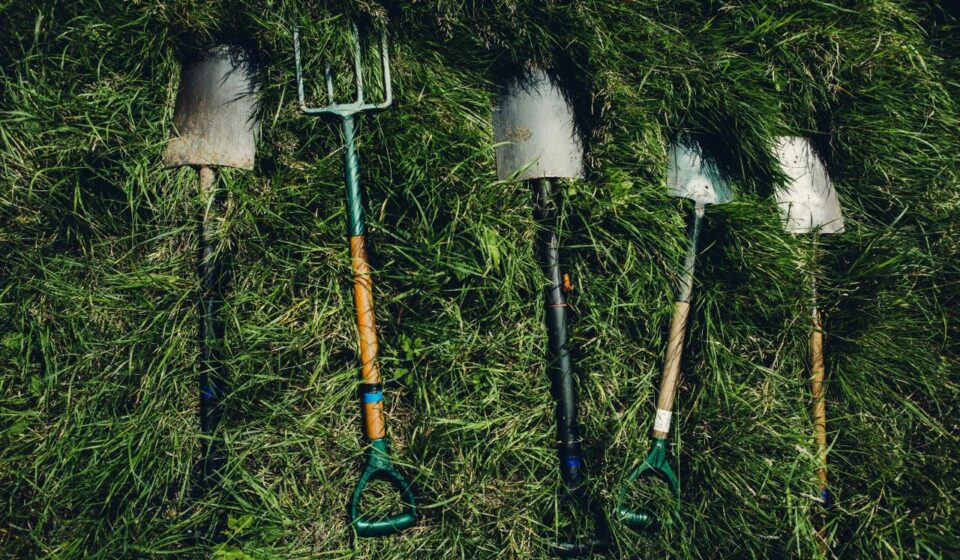 several shovels on grass